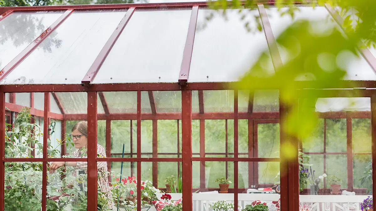 Für eine Verlängerung der Sommertage – Der Sommergarten